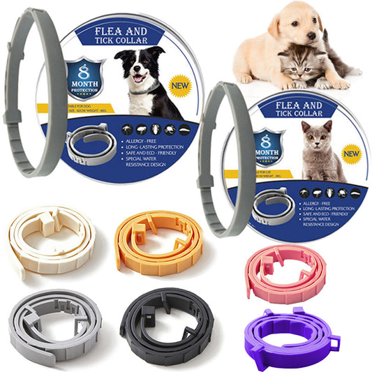 SafePaw Collar - 8 Monate Schutz gegen Parasiten